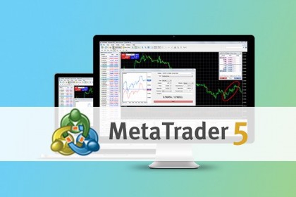 1月14日起 泉金客运航线每天增加到4航